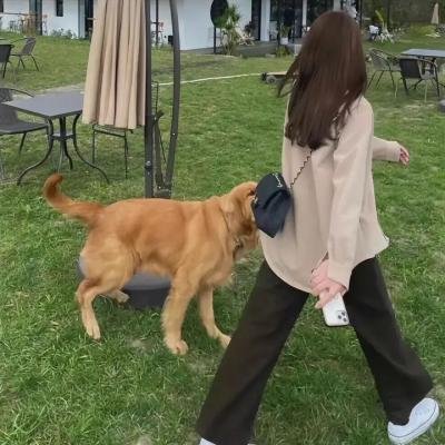 汤姆猫与杰利鼠:间谍使命